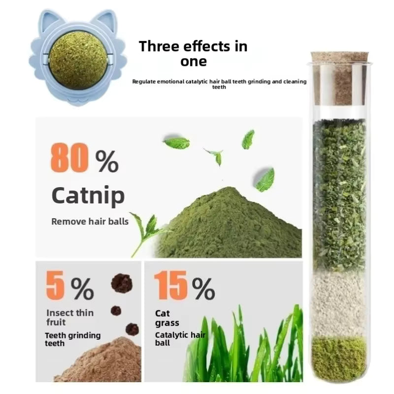 Catnip Wall Ball – Dental Health Toy for Cats