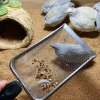 Sand Substrate Metal Sand Shovel Stainless Steel Fine Mesh Terrarium Substrate Dropship